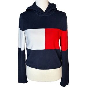 Tommy Hilfiger retro colorblock cropped hoodie